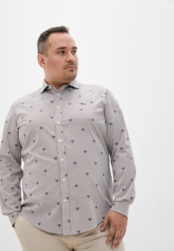 фото Рубашка harmont & blaine