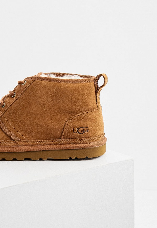 фото Ботинки ugg