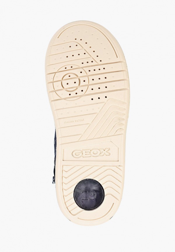 фото Кеды geox