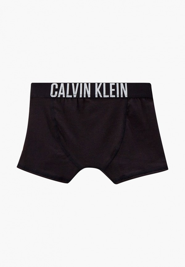 фото Трусы 2 шт. calvin klein