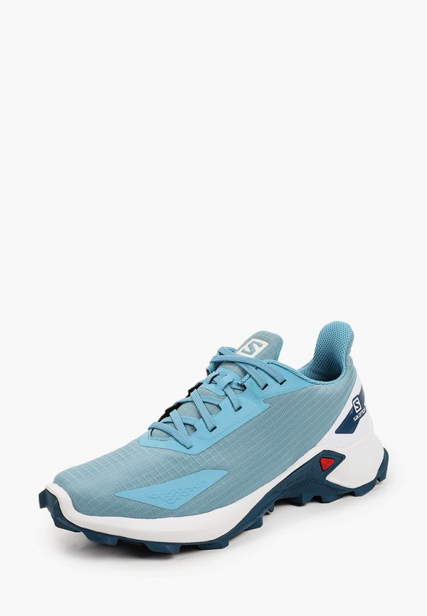 фото Кроссовки salomon