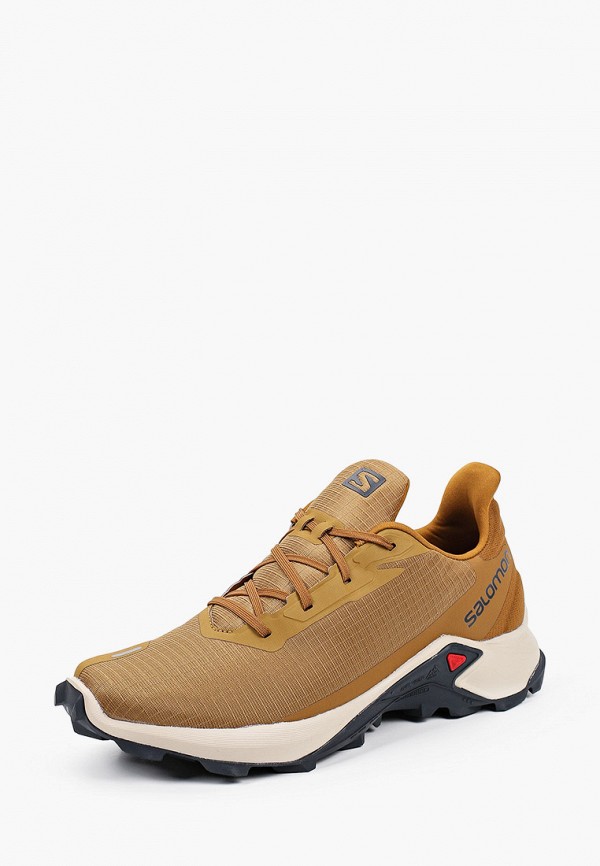 фото Кроссовки salomon