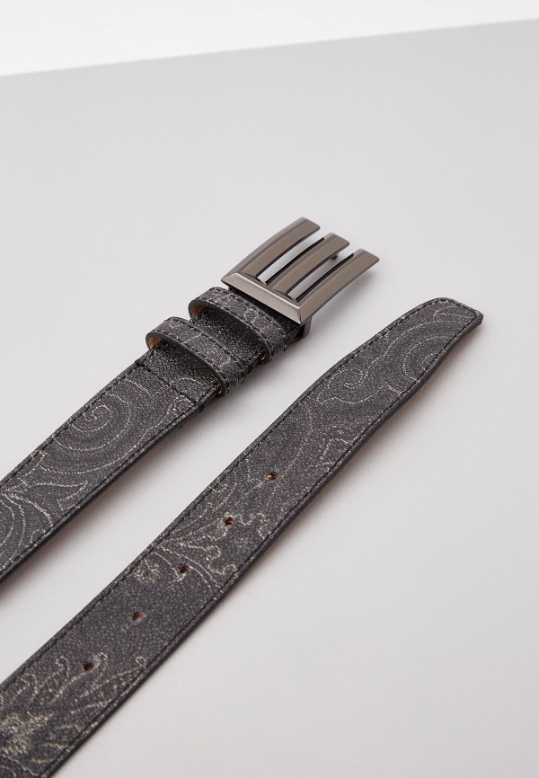 фото Ремень etro