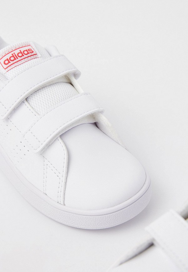 фото Кеды adidas