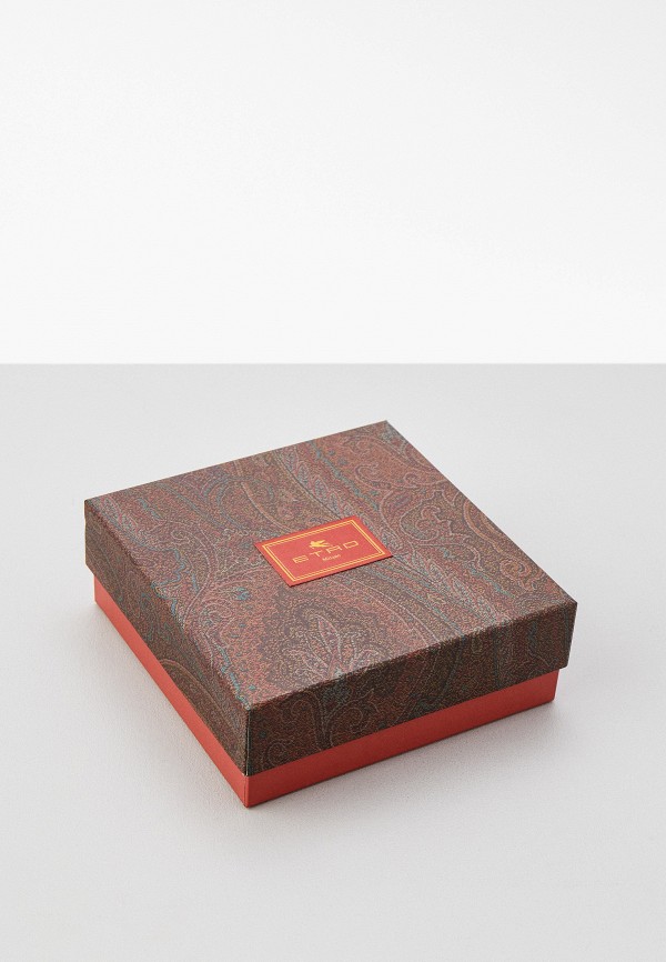 фото Ремень etro