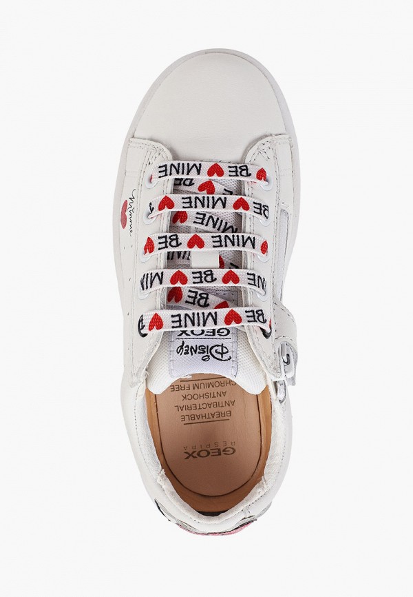 фото Кеды geox