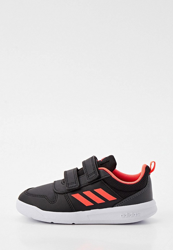 фото Кеды adidas