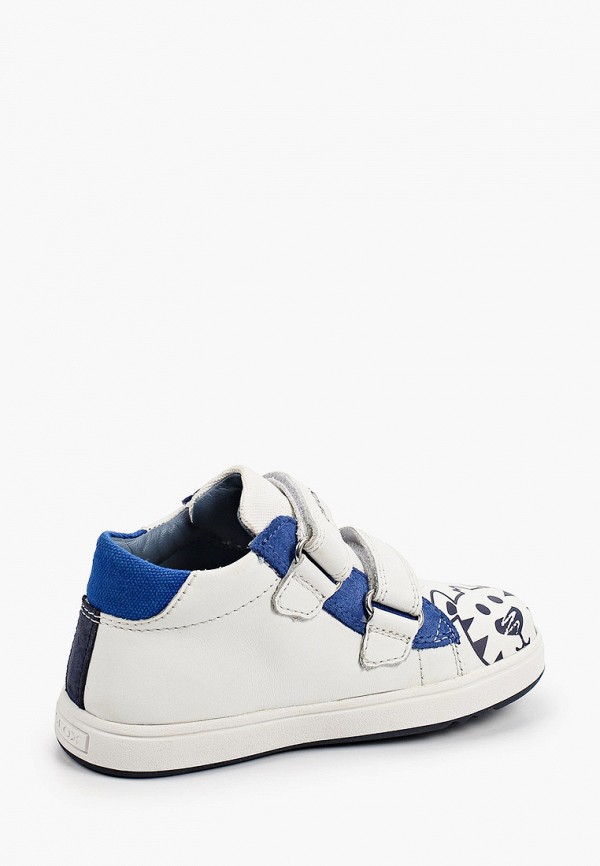 фото Кеды geox