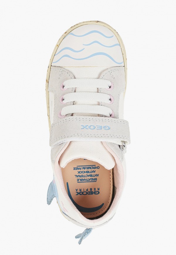 фото Кеды geox