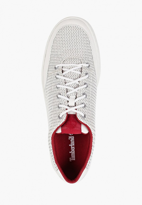 фото Кеды timberland