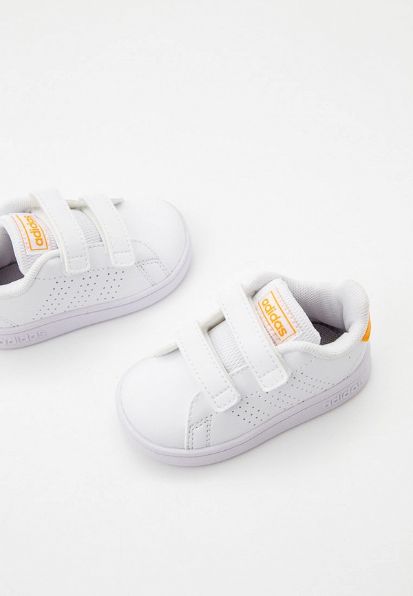 фото Кеды adidas