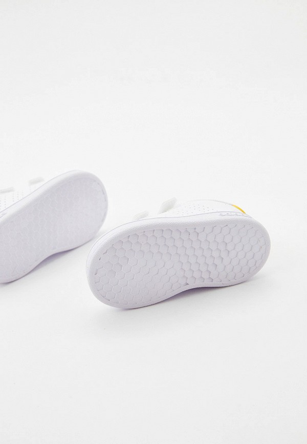 фото Кеды adidas