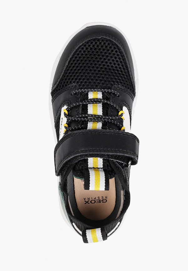 фото Кроссовки geox