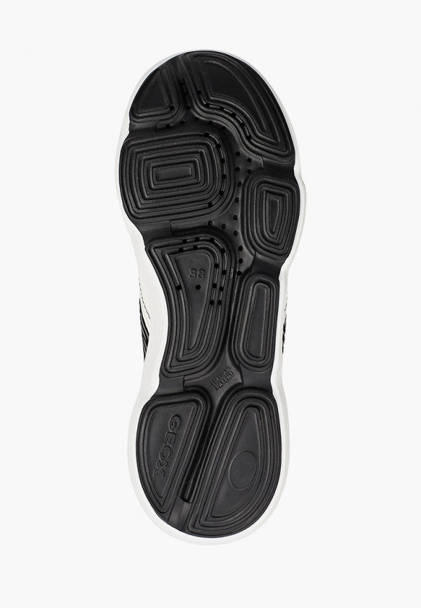 фото Кроссовки geox