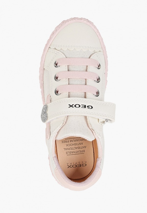 фото Кеды geox