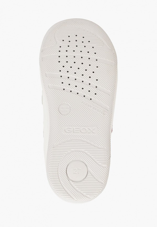 фото Кеды geox