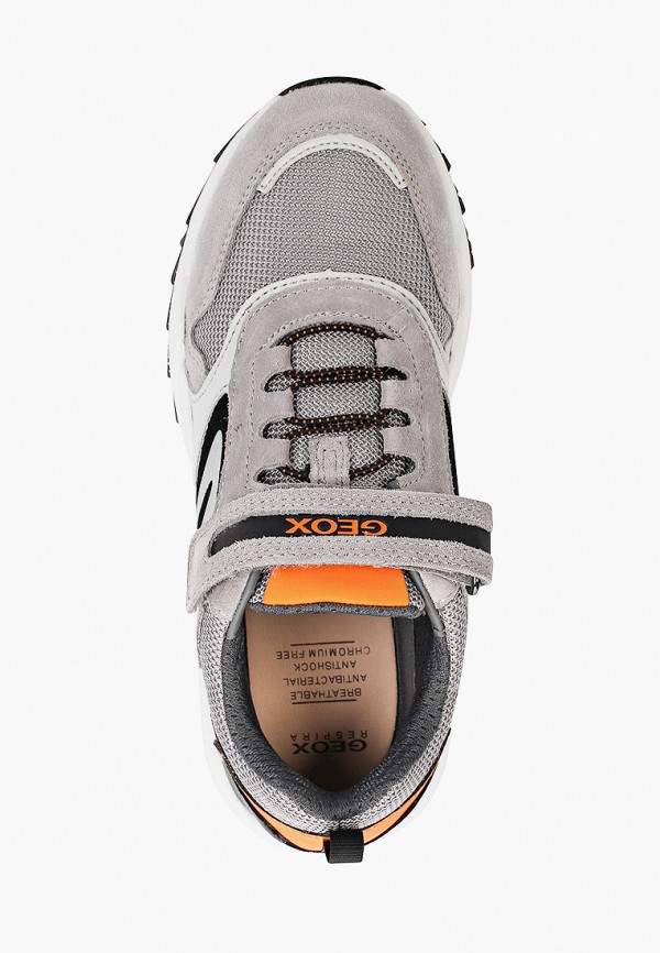 фото Кроссовки geox