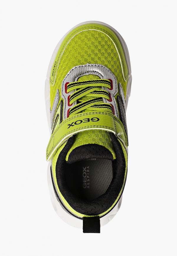 фото Кроссовки geox