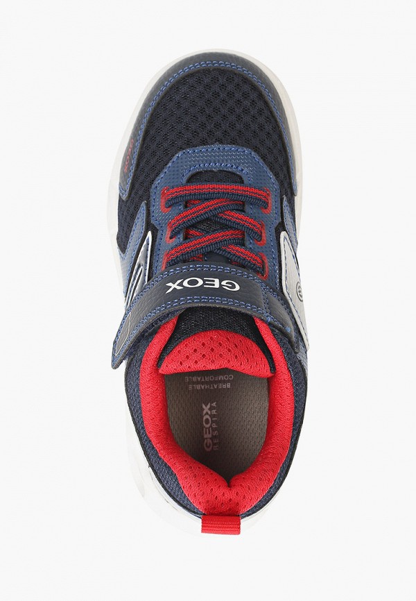 фото Кроссовки geox