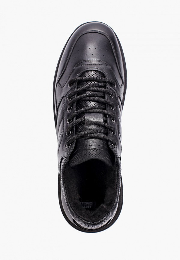 фото Кеды vittorio bravo