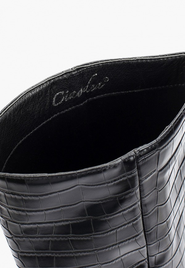 фото Сапоги ciaodea