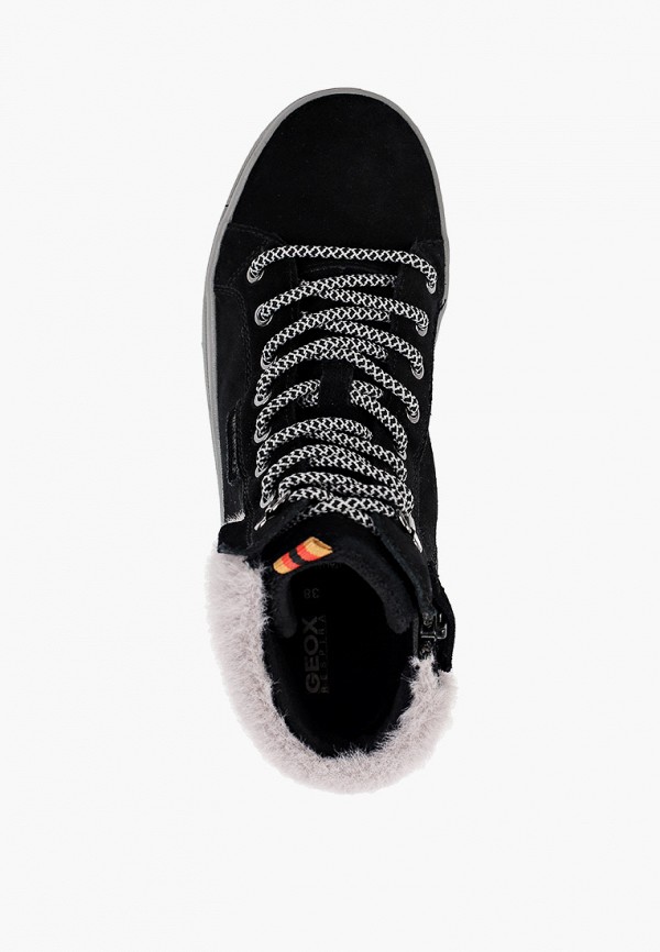 фото Кеды geox