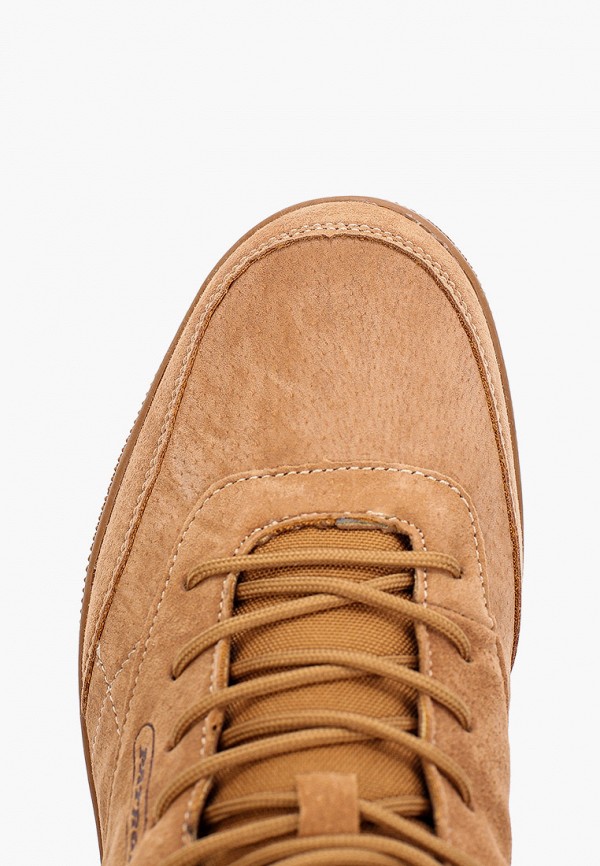 фото Кеды patrol