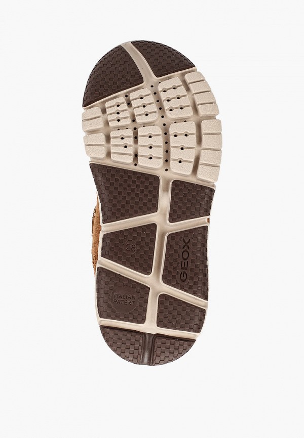 фото Полусапоги geox