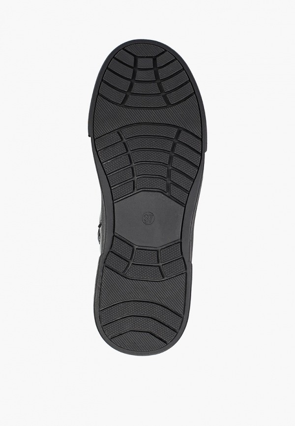 фото Кеды zebra