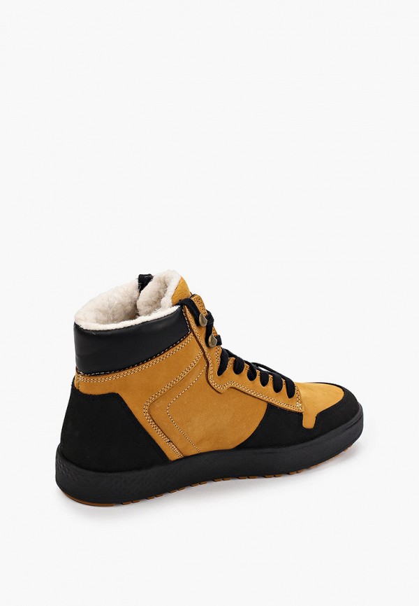 фото Кеды patrol