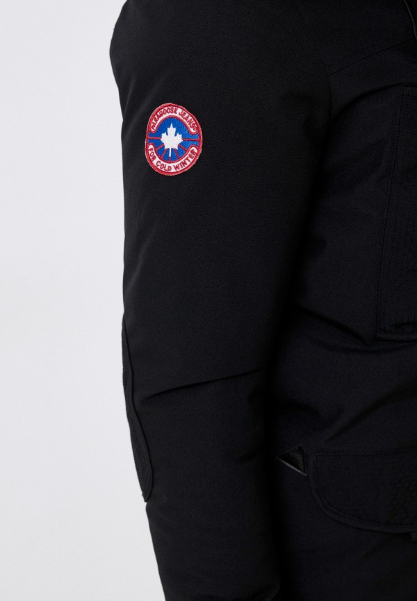 фото Парка paragoose