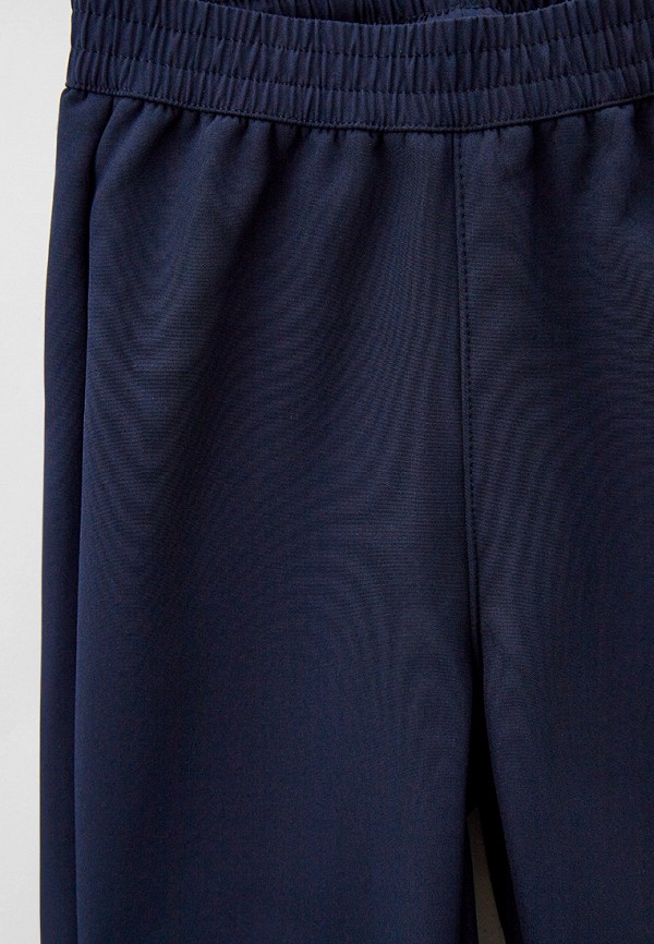 фото Брюки горнолыжные icepeak