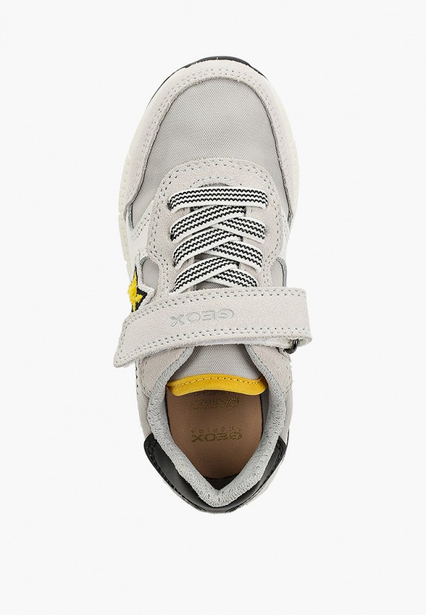 фото Кроссовки geox