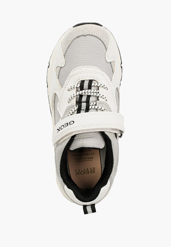 фото Кроссовки geox