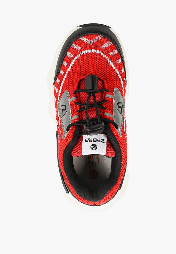 фото Кроссовки zebra