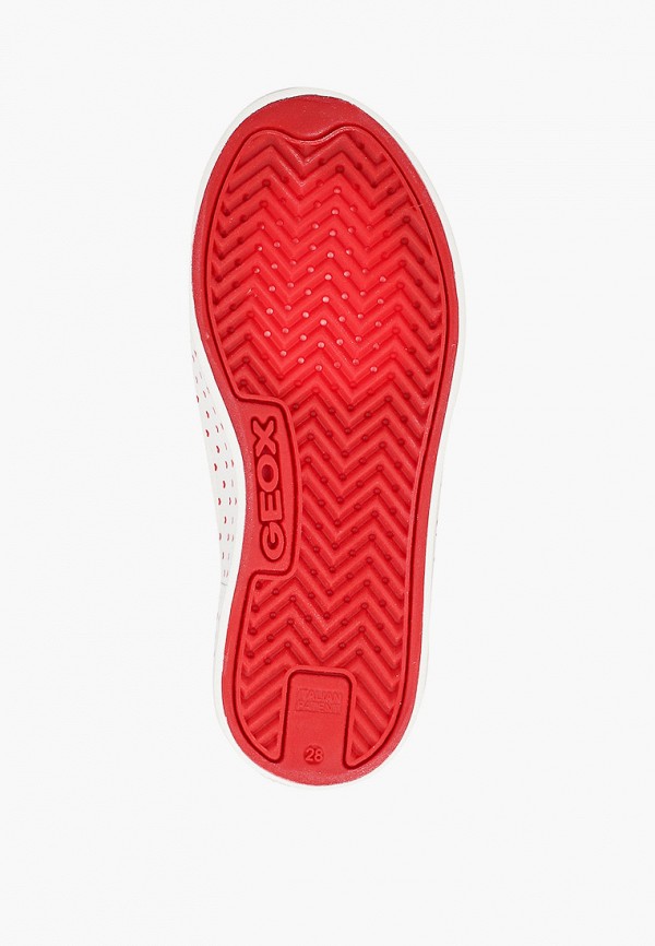 фото Кеды geox