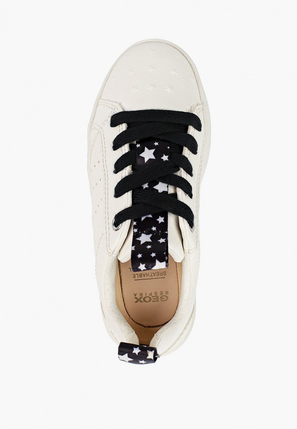 фото Кеды geox