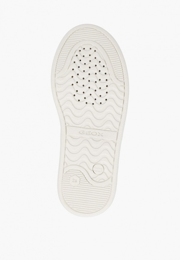 фото Кеды geox