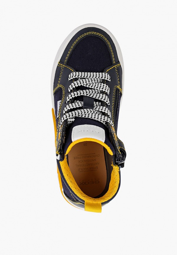 фото Кеды geox