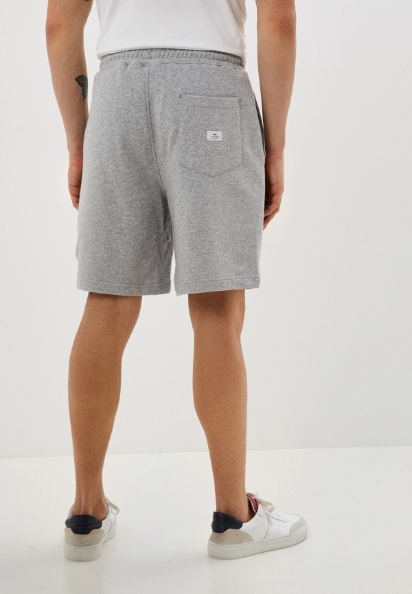 фото Шорты спортивные quiksilver