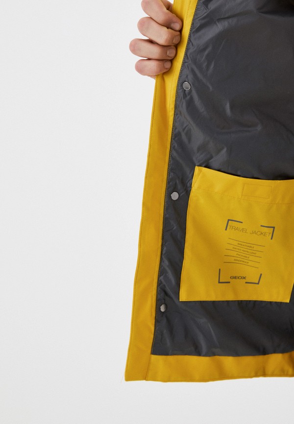 фото Парка geox