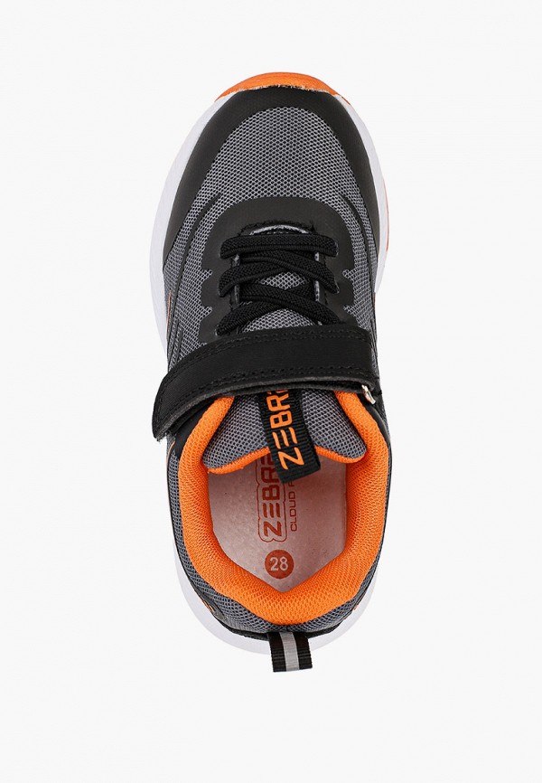 фото Кроссовки zebra