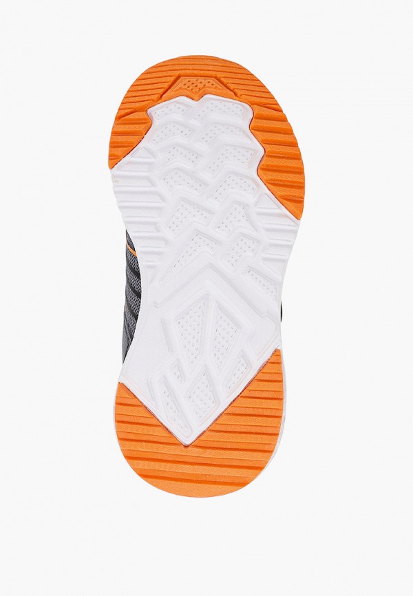 фото Кроссовки zebra