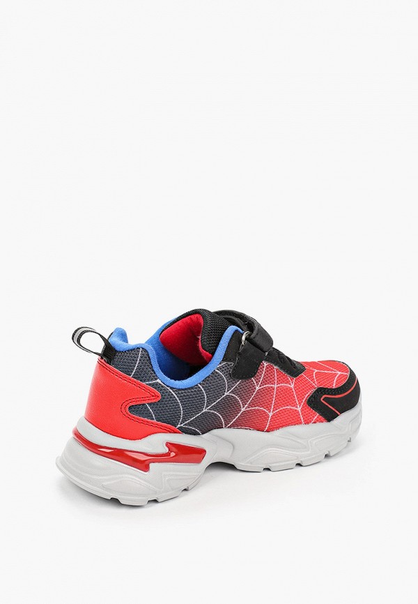 фото Кроссовки zebra