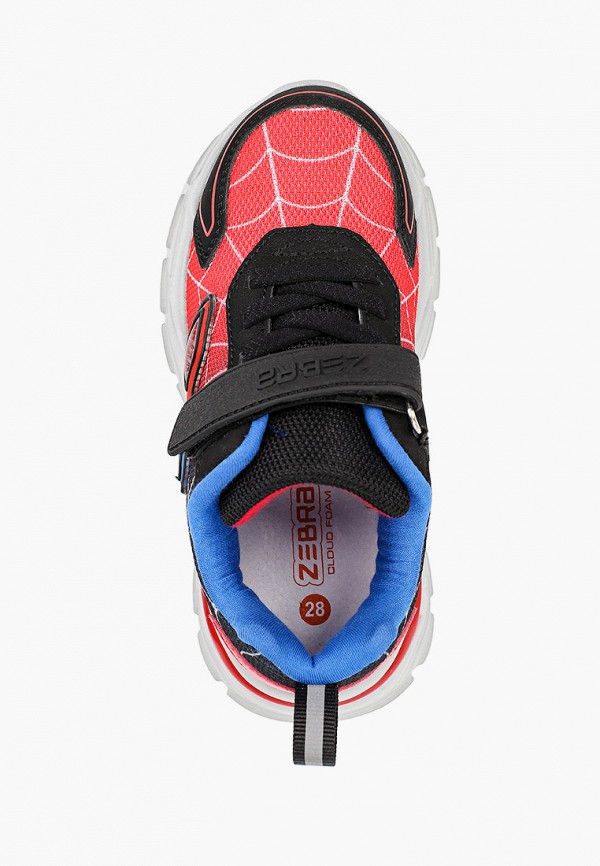 фото Кроссовки zebra