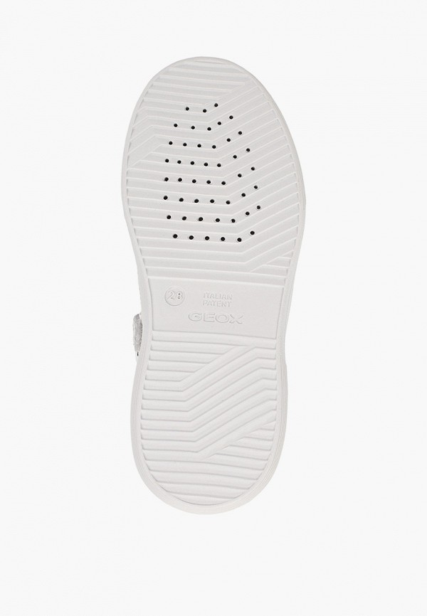 фото Кеды geox