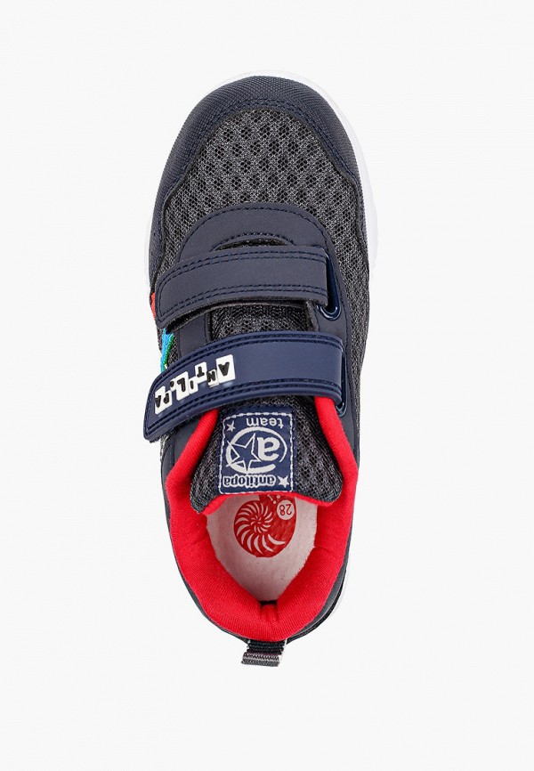 фото Кроссовки antilopa