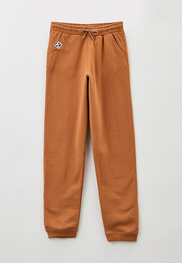 фото Брюки спортивные dpam