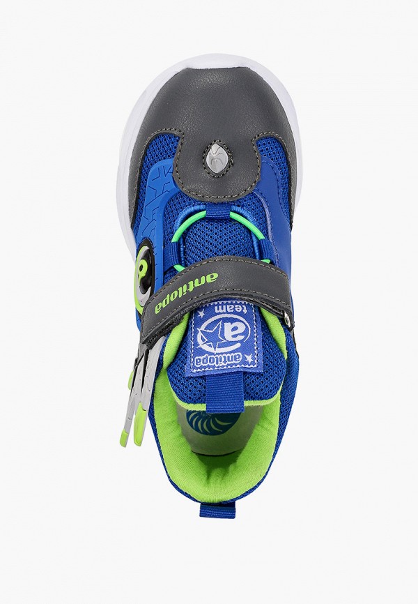 фото Кроссовки antilopa