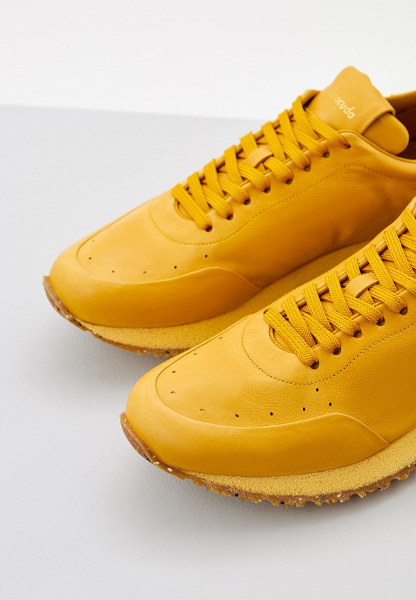 фото Кроссовки barracuda